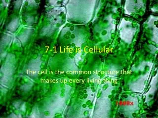 7-1 Life is Cellular