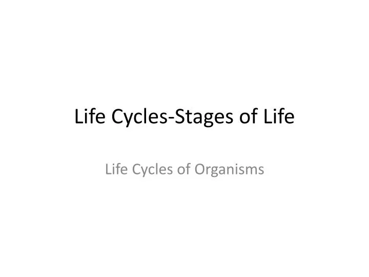 life cycles stages of life