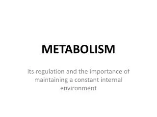 metabolism