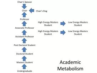 Academic Metabolism