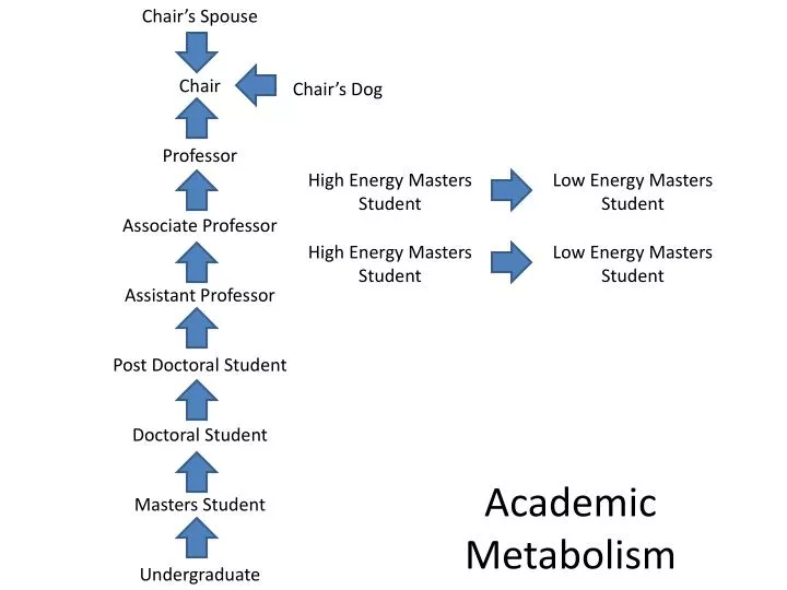 academic metabolism