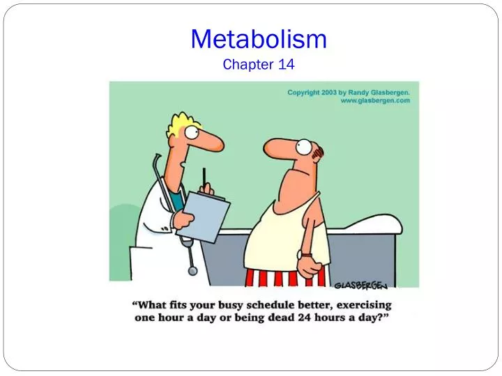 metabolism chapter 14
