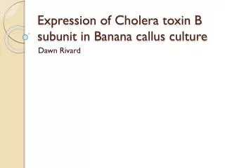 Expression of Cholera toxin B subunit in Banana callus culture