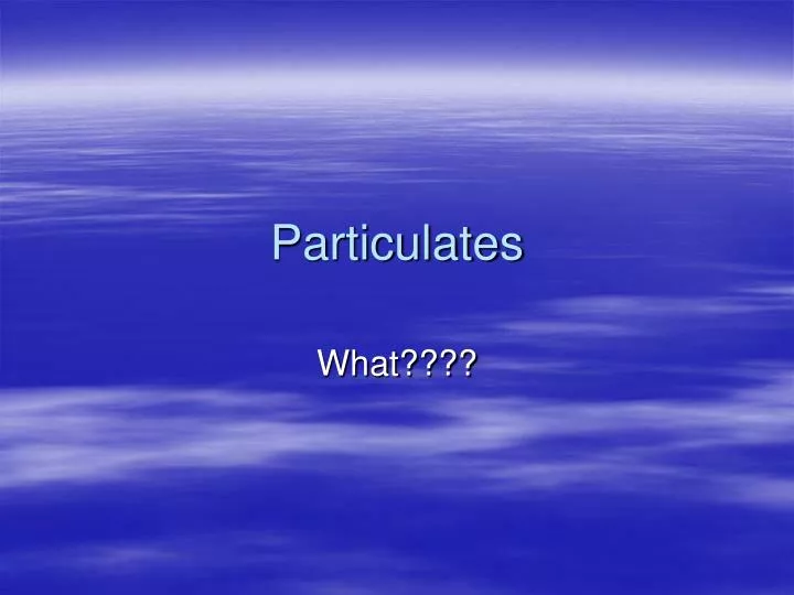 particulates