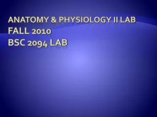 Anatomy &amp; physiology ii lab Fall 2010 BSC 2094 lab