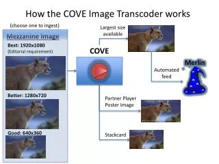 How the COVE Image Transcoder works