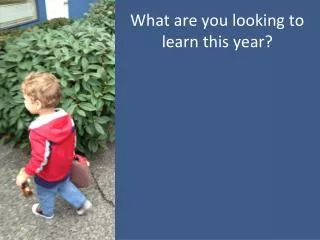 What are you looking to learn this year?