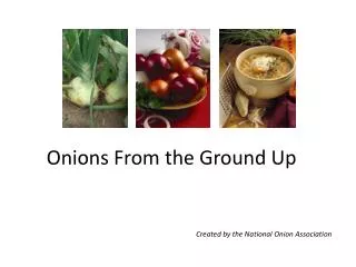 Onions From the Ground Up