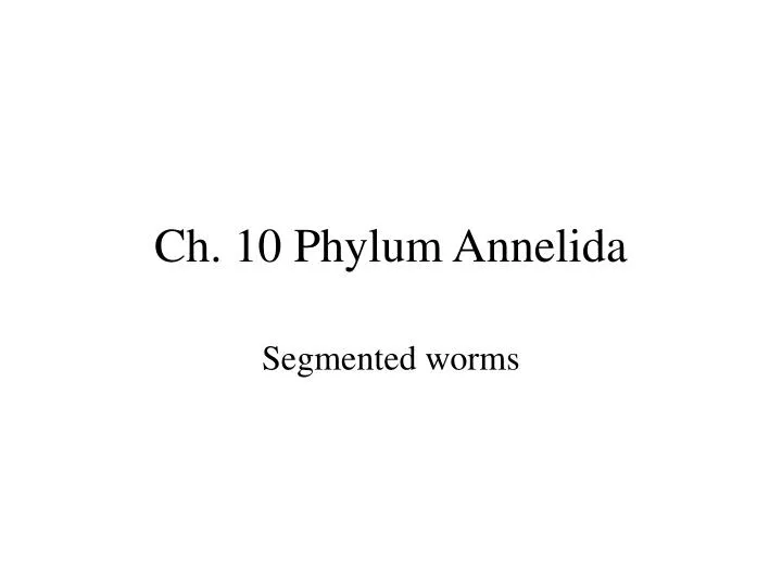 ch 10 phylum annelida