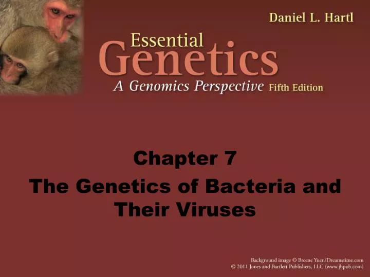 chapter 7 the genetics of bacteria and their viruses