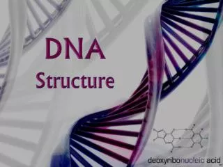 DNA Structure