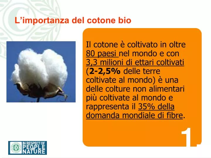 l importanza del cotone bio