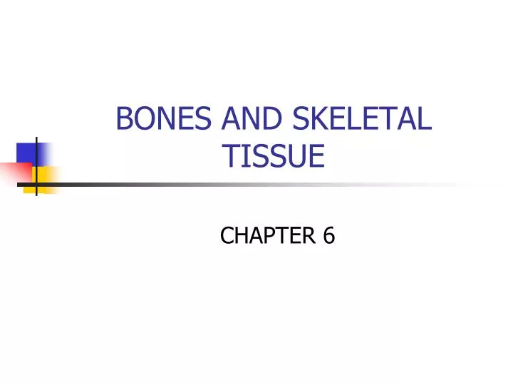 bones and skeletal tissue