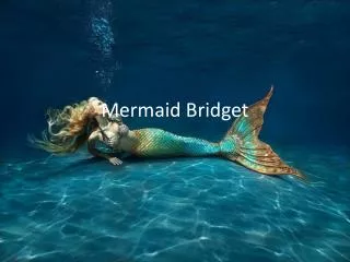 Mermaid B ridget