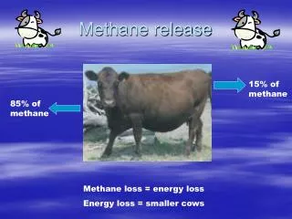 Methane release