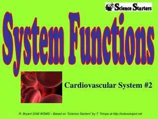 Cardiovascular System #2