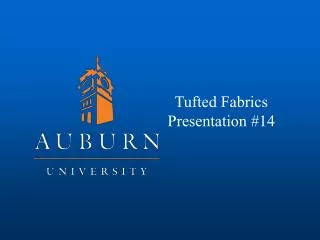 Tufted Fabrics Presentation #14