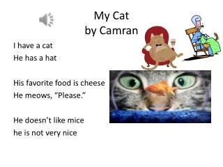 My Cat by Camran