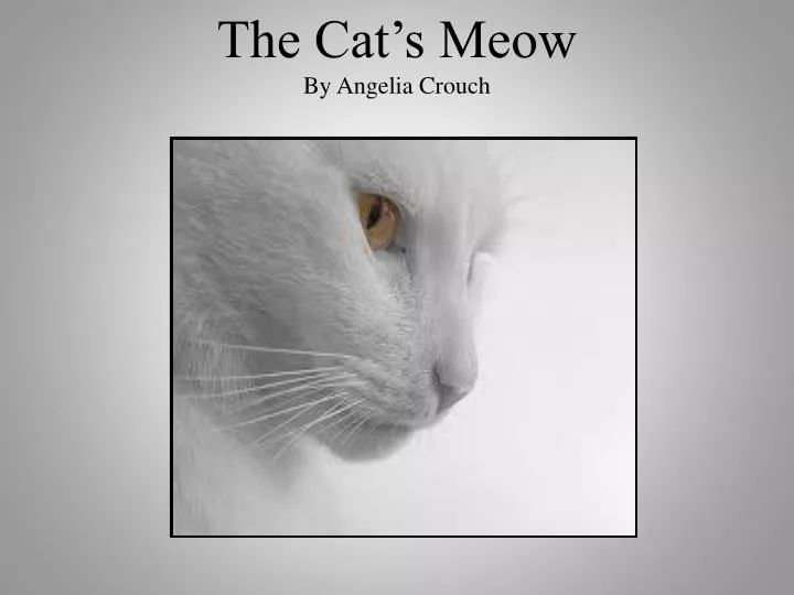 the cat s meow by angelia crouch