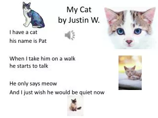 My Cat by Justin W.