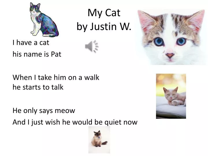 my cat by justin w