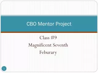 CBO Mentor Project