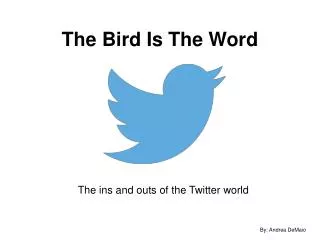 The Bird Is The Word
