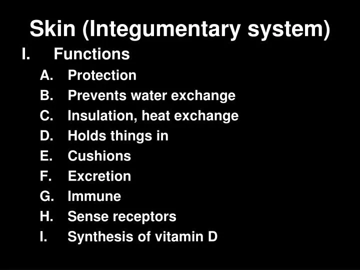 skin integumentary system