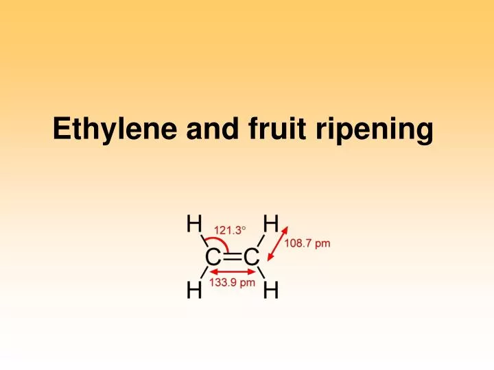 ethylene and fruit ripening