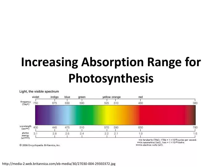 increasing absorption range for photosynthesis