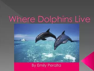 Where Dolphins Live