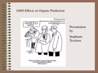 GMO Effects on Organic Production