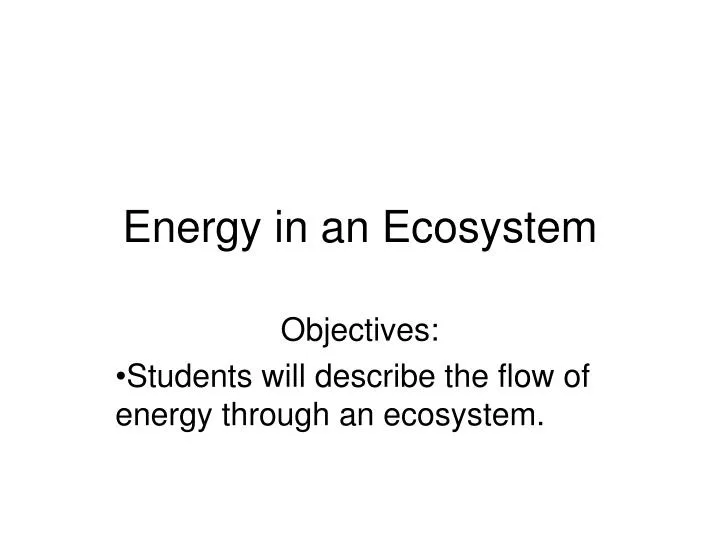 energy in an ecosystem