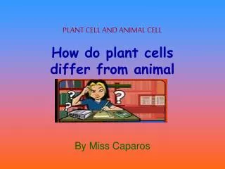 PLANT CELL AND ANIMAL CELL