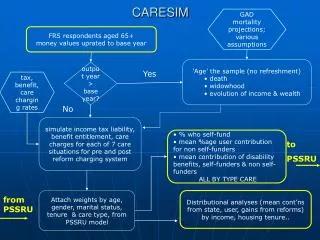 CARESIM