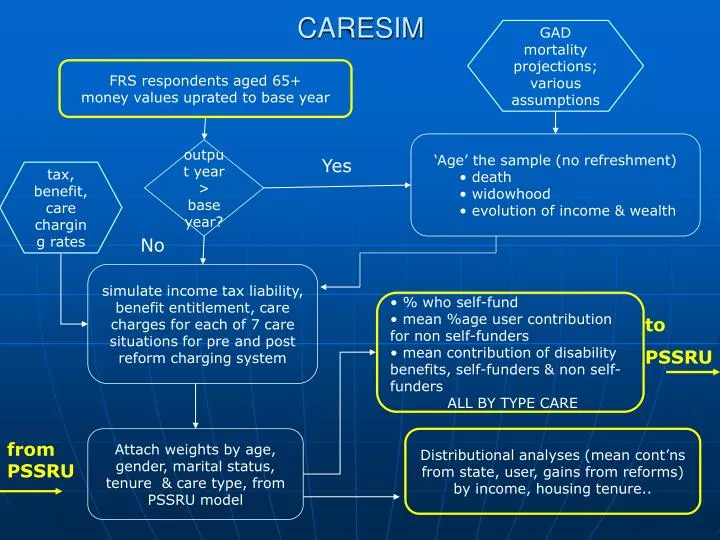 caresim