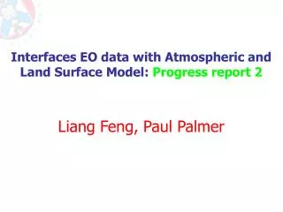 Interfaces EO data with Atmospheric and Land Surface Model: Progress report 2