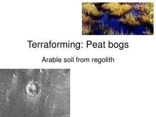 Terraforming: Peat bogs