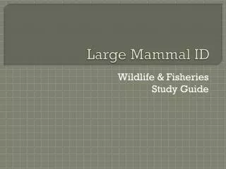 Large Mammal ID