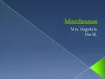 Understanding Cell Membrane Structure and Function - slide 1