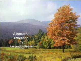 A beautiful reflection by Facundo Cabral