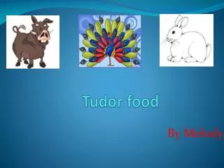 Tudor food