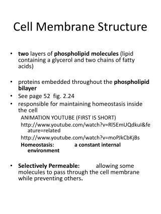cell membrane structure