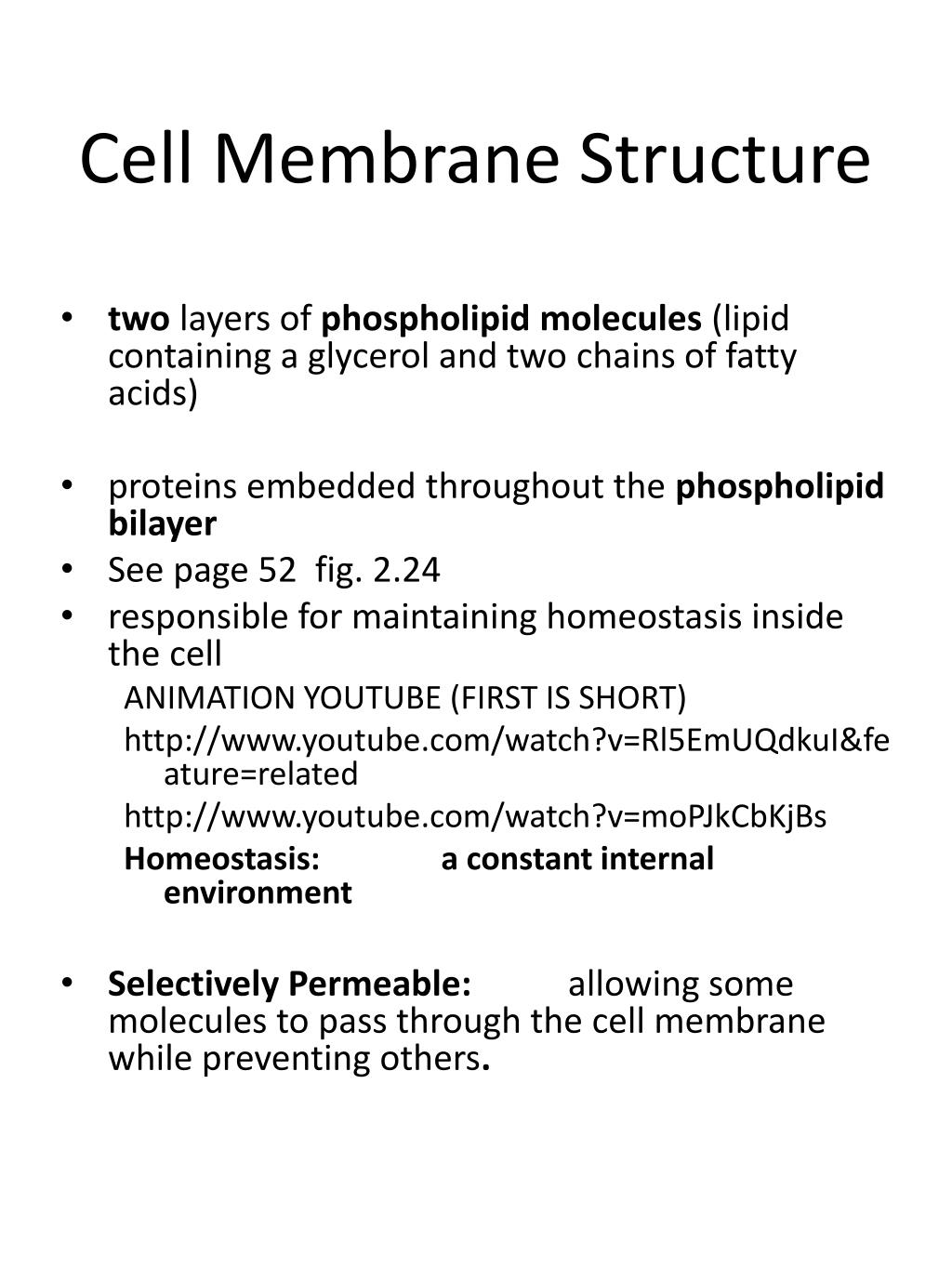 PPT - Cell Membrane Structure PowerPoint Presentation, free download ...