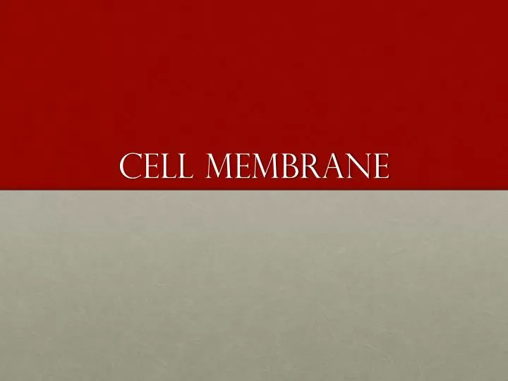 PPT - Cell membrane PowerPoint Presentation, free download - ID:2687379