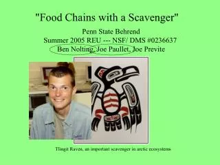 &quot;Food Chains with a Scavenger&quot;
