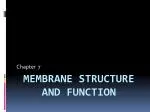 Membrane Structure and Function - slide 1