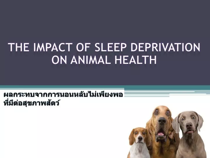 the impact of sleep deprivation on animal health