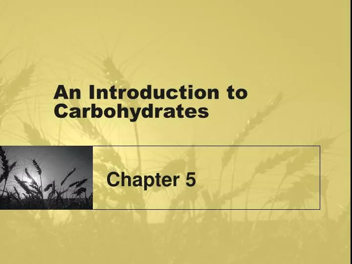an introduction to carbohydrates