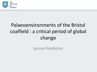 Palaeoenvironments of the Bristol coalfield : a critical period of global change